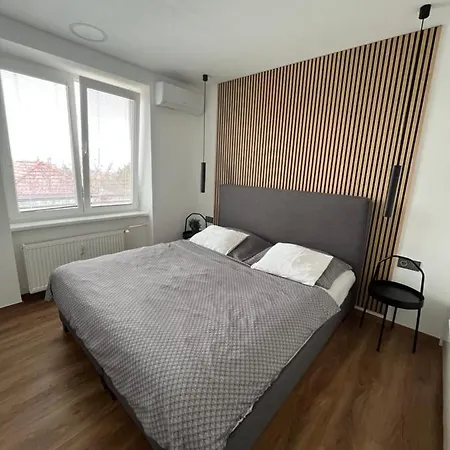 Luxury Flat In * Брно